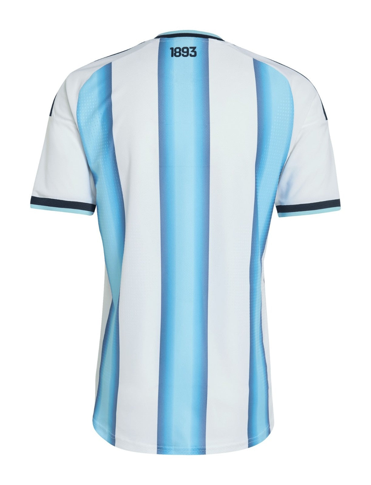 MAILLOT ARGENTINE DOMICILE 2026