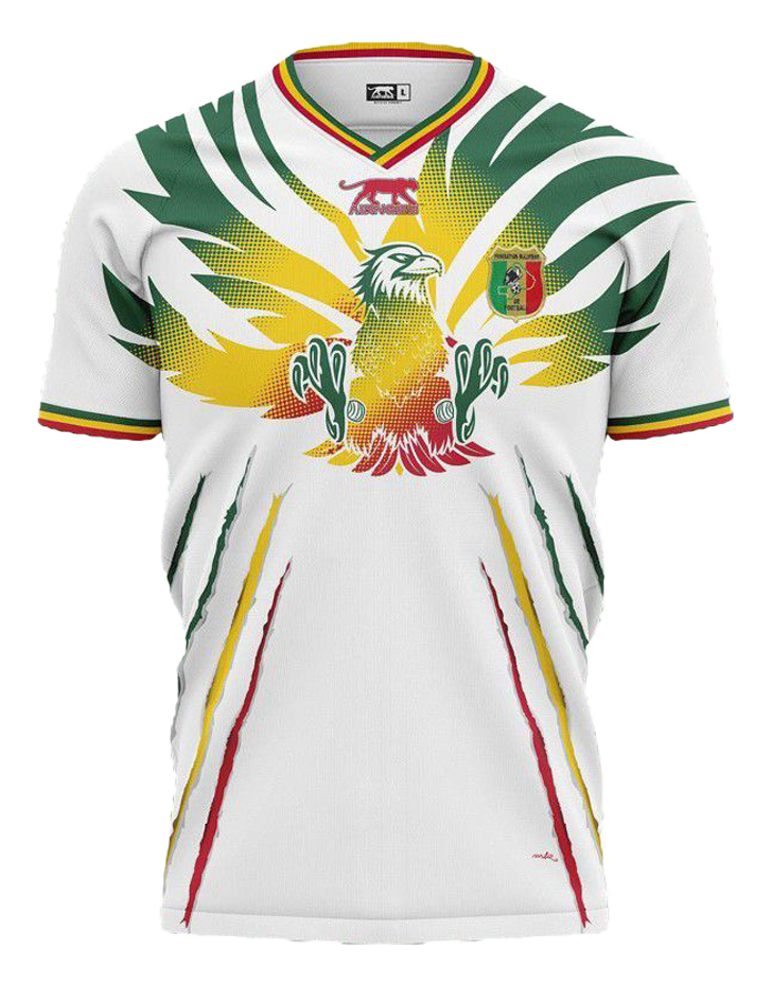 MAILLOT MALI DOMICILE 2024
